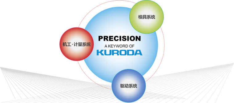 PRECISION A KEYWORD OF KURODA